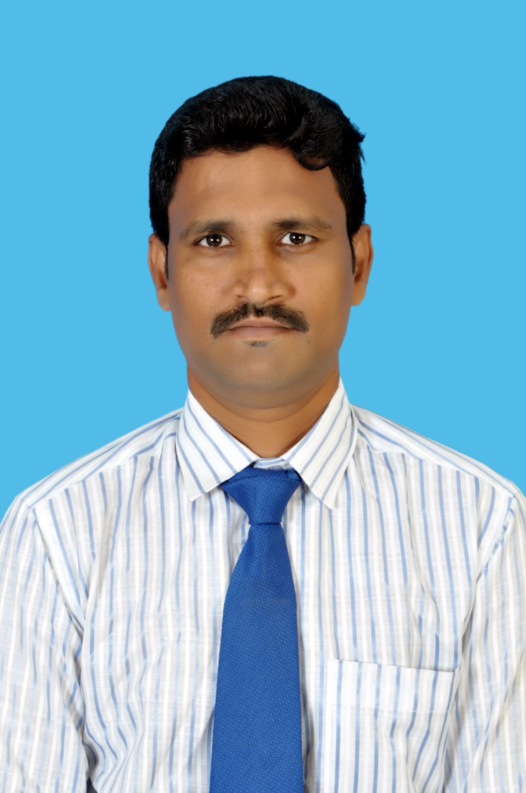 Sales and Marketing Head